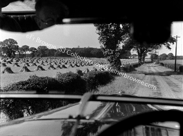 A BY ROAD IN HARVEST TIME